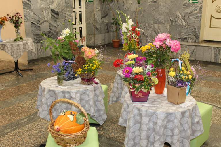 «Приснилось мне жаркое лето…» — выставка цветов в Белозерском Доме культуры